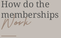 Banner displaying text "How do the membership work" at Youth Skin RX